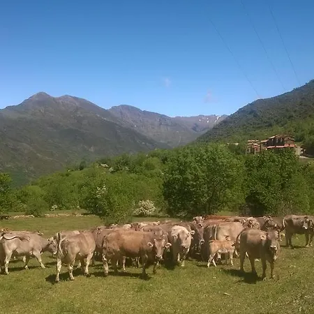 La Faiada El Pont de Suert